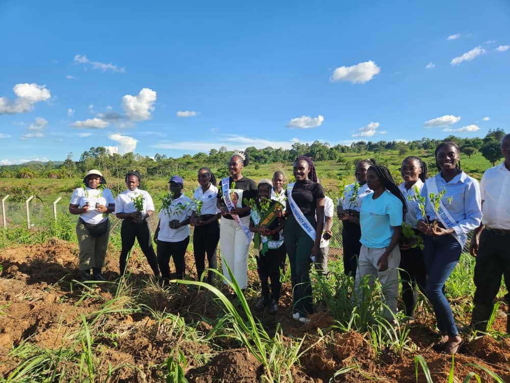 Field restoration activity with partners