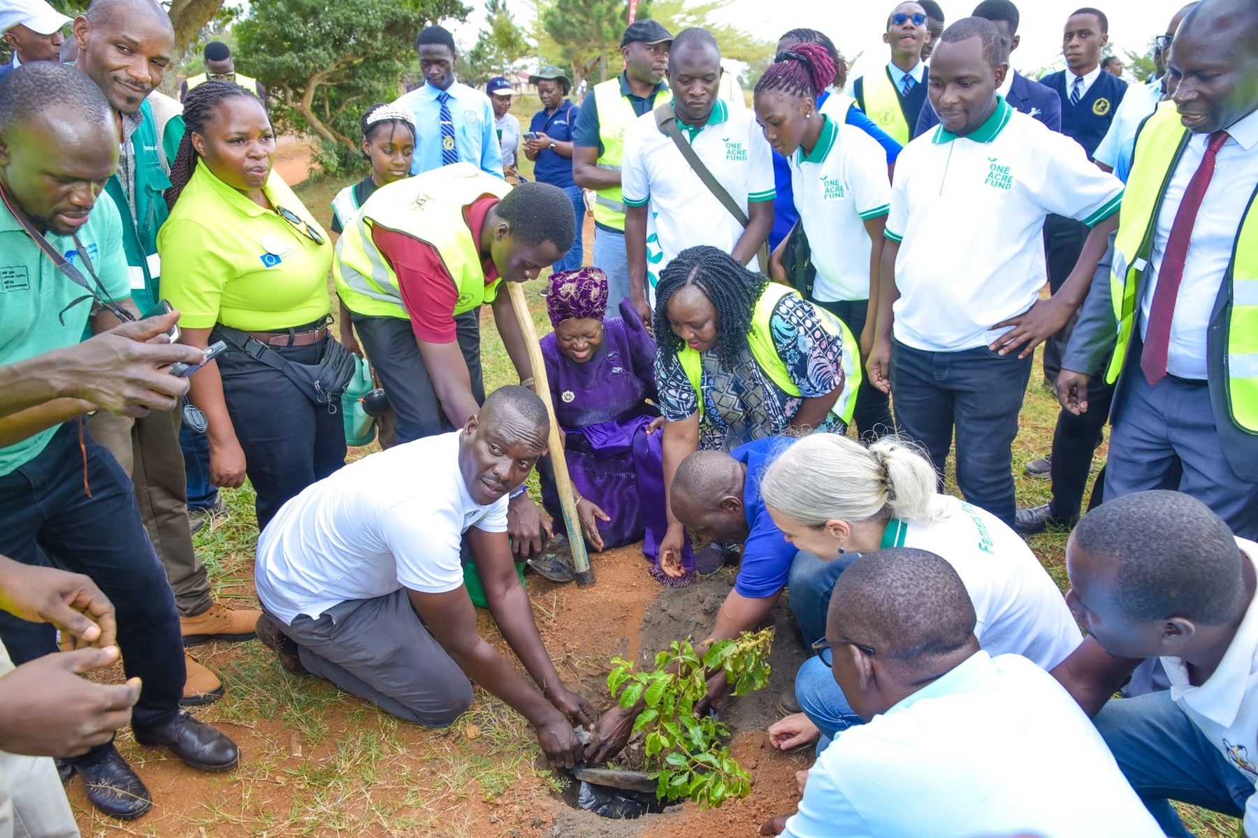 Community partners planting a young tree together